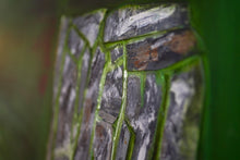 Load image into Gallery viewer, Aran